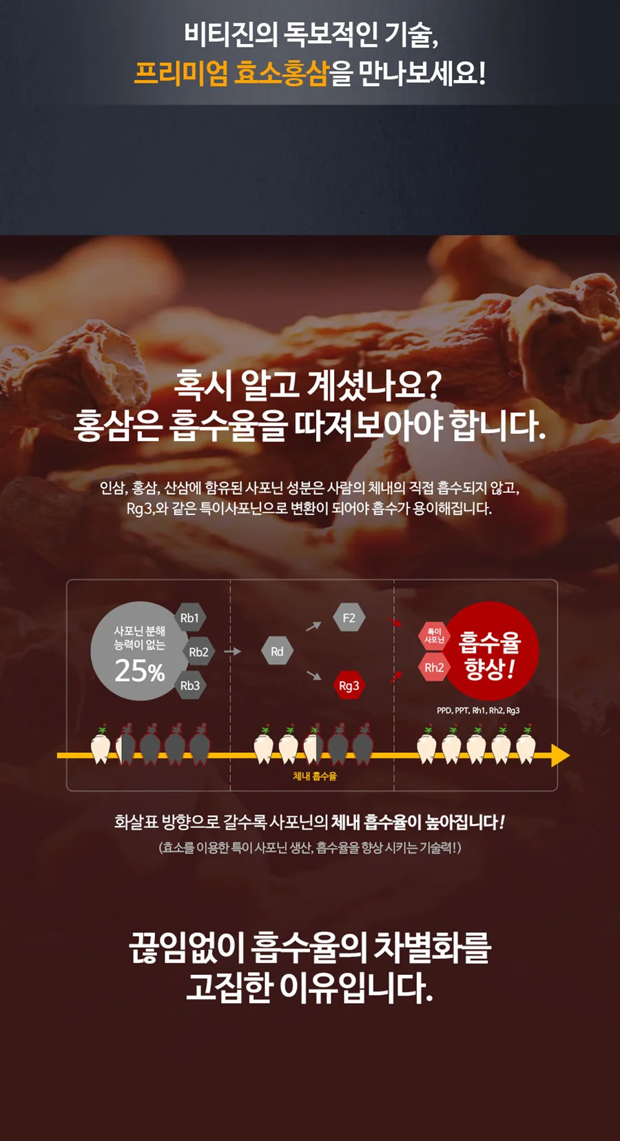 Gin HongSam Saponin Capsule PL 17 Gin HongSam Saponin Capsule PL phân phối nhiều nơi