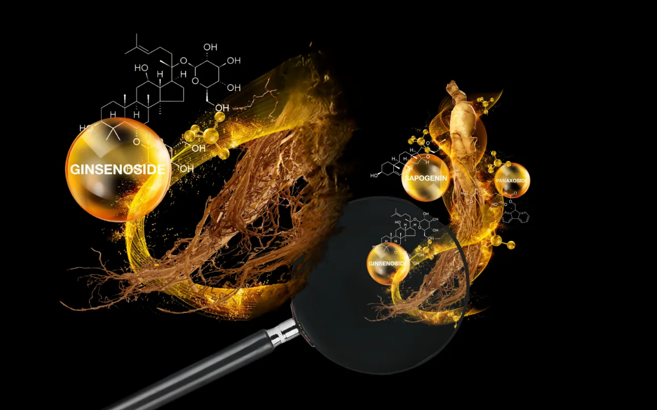 Ginsenoside Rg3: Hoạt Chất Khoa Học Nào Làm Nên Sự Đặc Biệt Của Hồng Sâm? 1 Ginsenoside Rg3 trong Viên Uống Hồng Sâm The Root Rg3