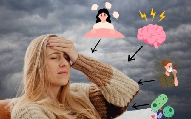 Tăng cường đề kháng, giảm mệt mỏi: Sức mạnh từ Hồng Sâm SAPONIN HANPPURI (EU) cho người hiện đại 1 Hồng Sâm SAPONIN HANPPURI (EU) hỗ trựo vấn đề sức khoẻ