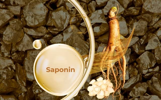 Saponin hoạt chất vàng hồng sâm được cho là rất quý