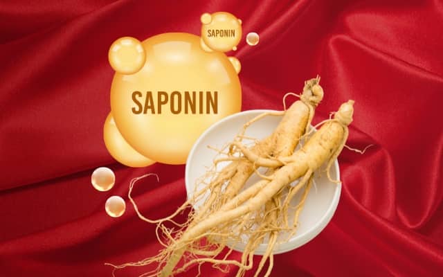 Saponin là gì? Hé lộ hoạt chất "vàng" quyết định chất lượng đỉnh cao của Hồng Sâm. 1 Saponin hoạt chất vàng hồng sâm