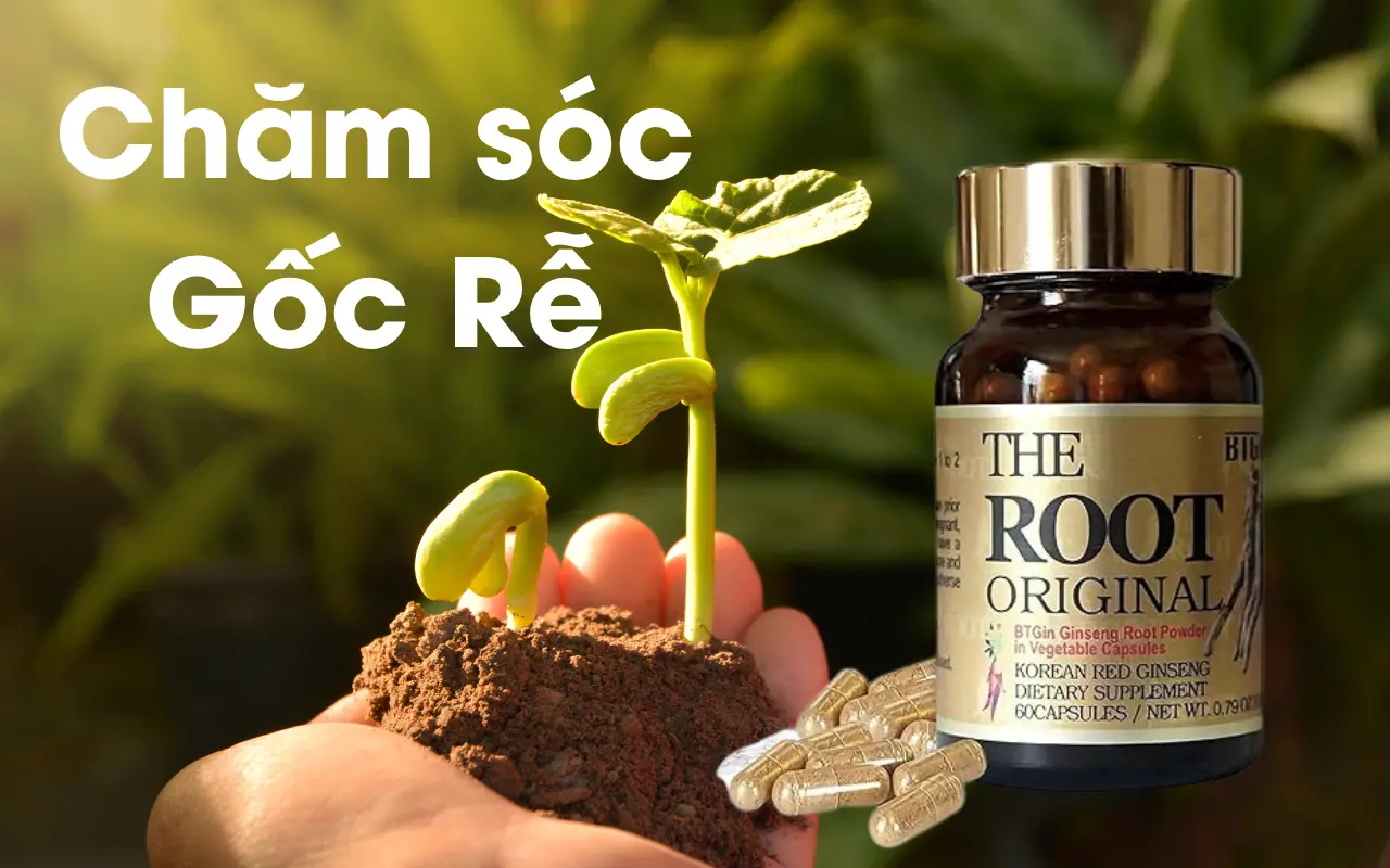 Triết Lý 'The Root': Tại Sao Chăm Sóc Sức Khỏe Từ Nền Tảng Lại Quan Trọng? 1 Triết Lý 'The Root'_ Chăm sóc gốc rễ từ Viên Hồng Sâm The Root Rg3