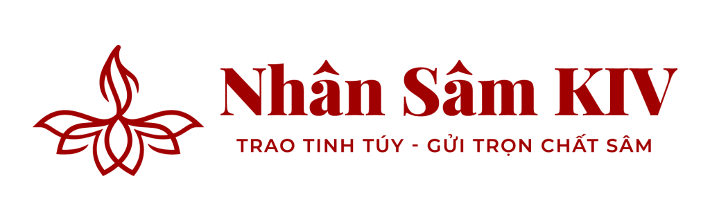 CÔNG TY TNHH THƯƠNG MẠI DỊCH VỤ EDU – KIV
