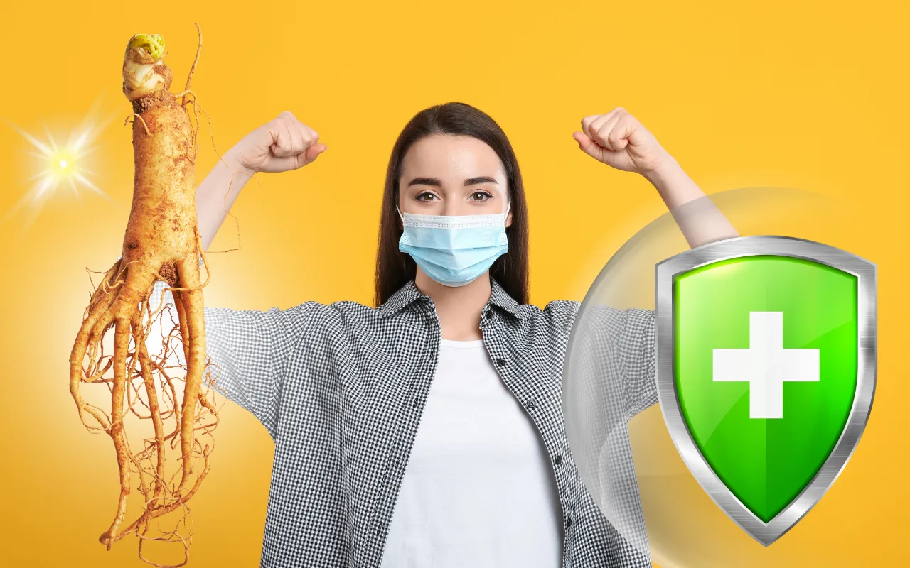Cơ Chế Tác Động Của Hồng Sâm Đối Với Hệ Miễn Dịch