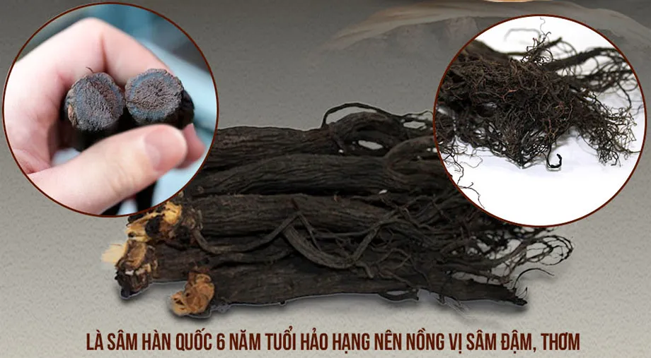 5 Tiêu chí vàng