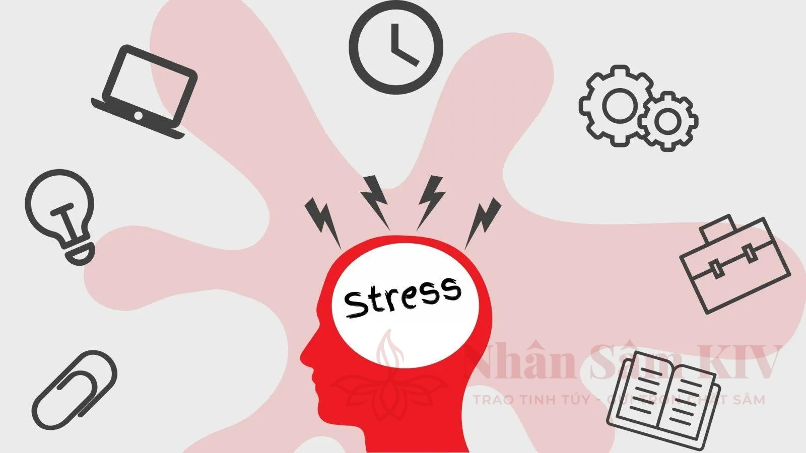 Ảnh hưởng của căng thẳng (Stress) đến hoạt động của hệ tiêu hóa và dạ dày