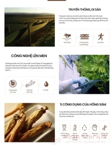 Chiết xuất truyền thống và Lên men enzyme