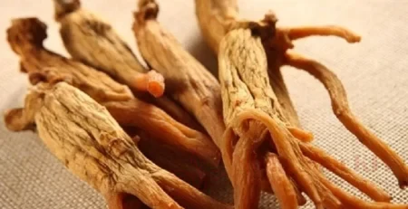Ginsenoside Rg3 và sức khỏe não bộ