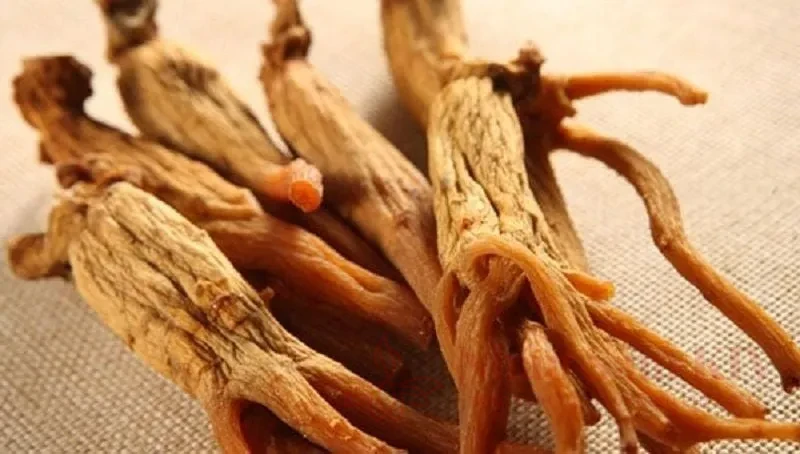 Ginsenoside Rg3 và sức khỏe não bộ