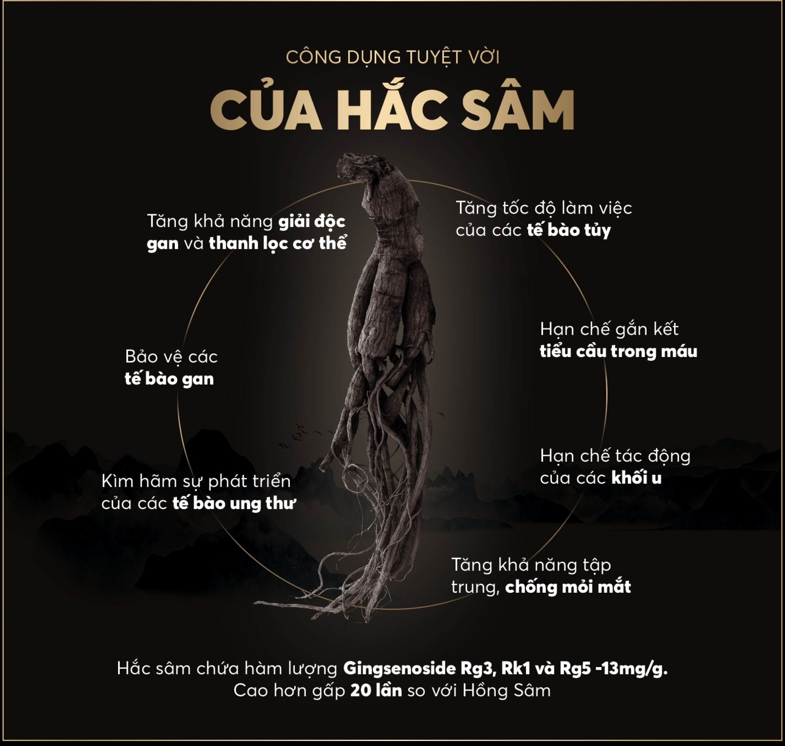 Hắc sâm và tiềm năng hỗ trợ điều trị