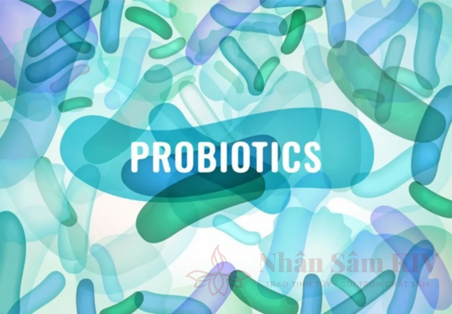 Lợi ích của Probiotics