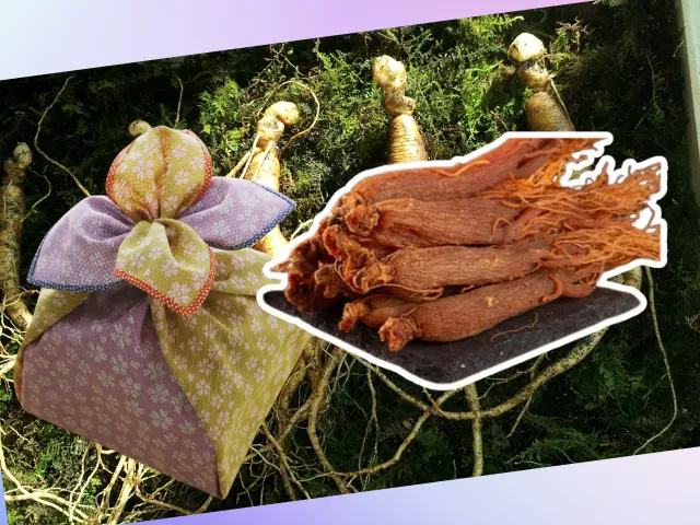 Nghệ thuật gói quà Hồng sâm