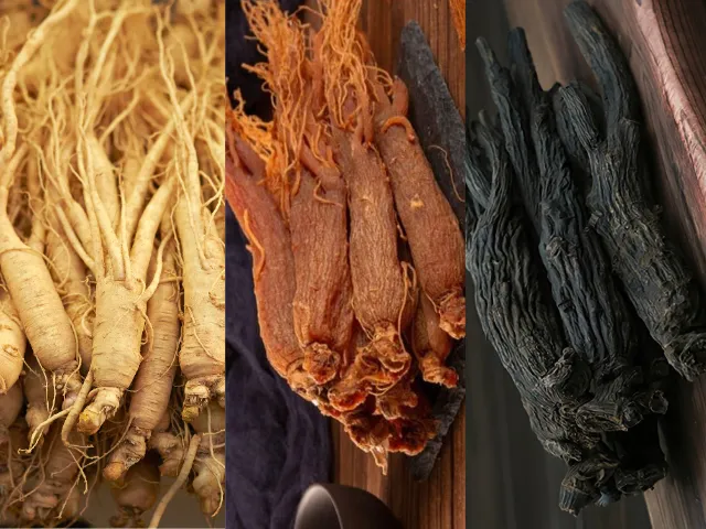 So găng_ 3 loại sâm khô