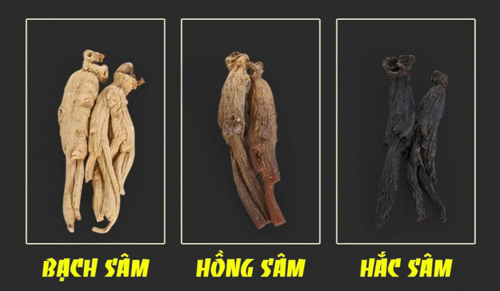 màu sắc của bạch sâm, hồng sâm, hắc sâm