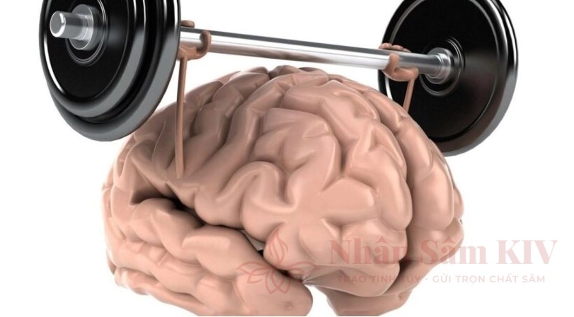 5 bài tập não bộ tăng cường trí nhớ