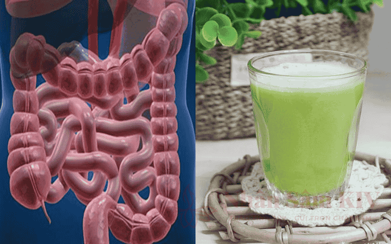 5 Phương Pháp Detox Làm Sạch Đường Ruột