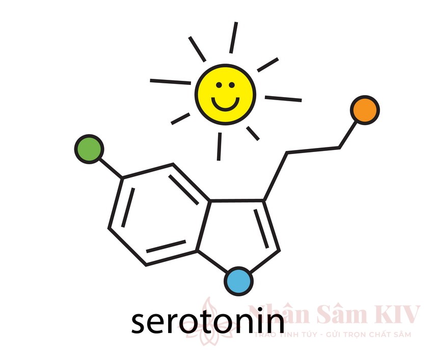 90% Serotonin (Hormone Hạnh Phúc) Được Tạo Ra Từ Đường Ruột