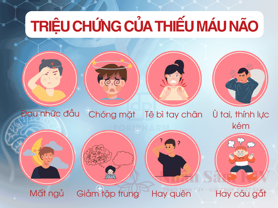 Các dấu hiệu thiếu máu