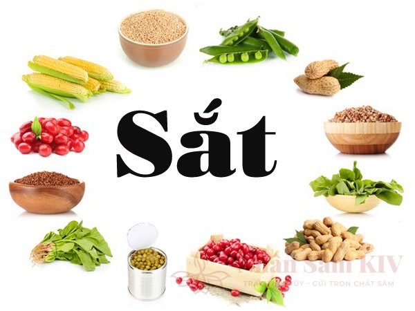 Những nhóm thực phẩm bổ máu