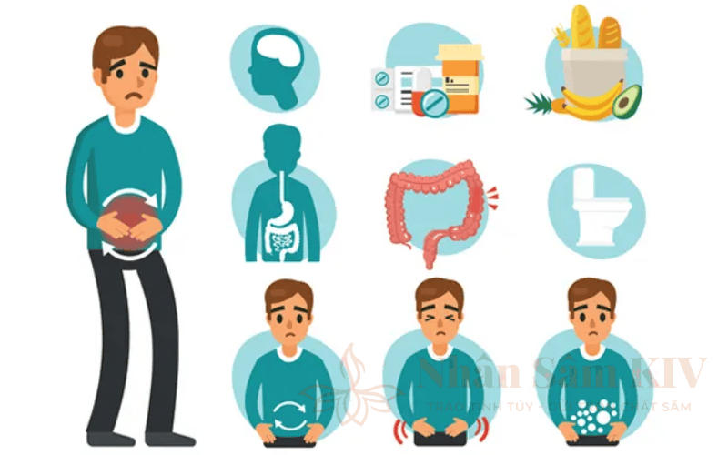 Phân Biệt Các Rối Loạn Tiêu Hóa IBS, IBD và Khó Tiêu Chức Năng
