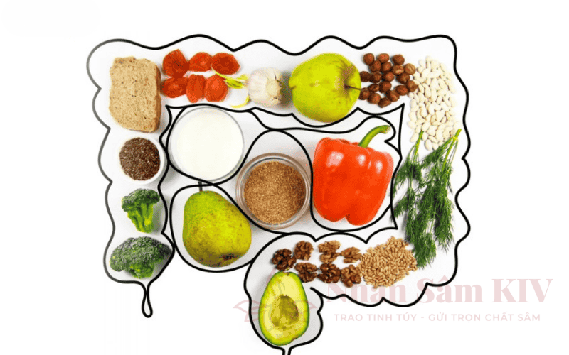 Thực Phẩm Giàu Chất Xơ Hòa Tan Tốt Nhất Cho Hệ Tiêu Hóa