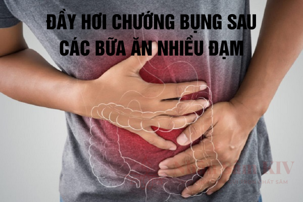 Đầy Hơi Chướng Bụng Sau Các Bữa Ăn Nhiều Đạm