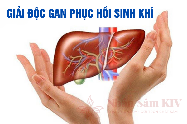 Giải độc gan sau mùa tiệc tùng cuối năm