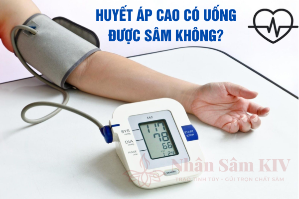 Huyết áp cao có uống được sâm không