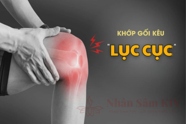 Khớp gối k&ecirc;u lục cục