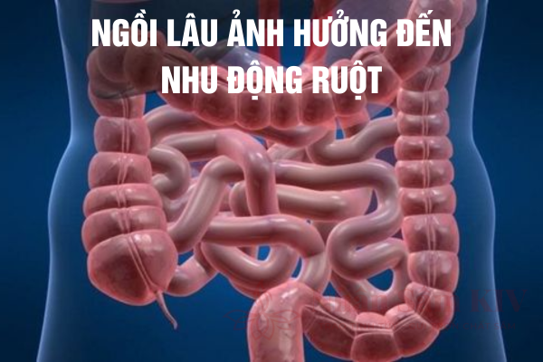 Thói Quen Ngồi Lâu Ảnh Hưởng Đến Nhu Động Ruột
