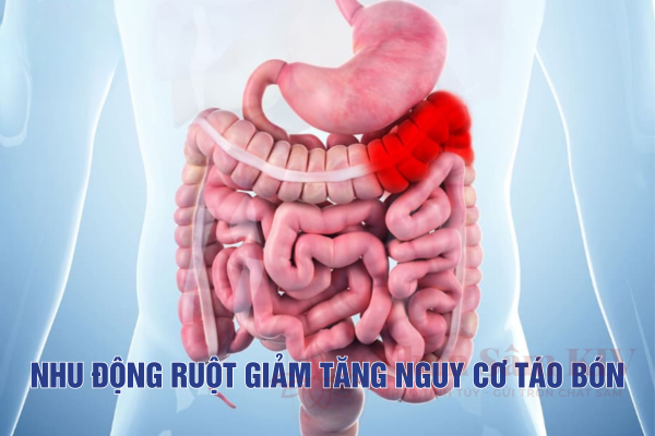 Thói Quen Ngồi Lâu Ảnh Hưởng Đến Nhu Động Ruột Và Hệ Tiêu Hóa 11 Nhu động ruột giảm tăng nguy cơ táo bón