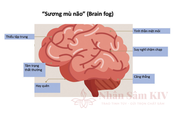 Sương mù não cuối năm và cách khắc phục