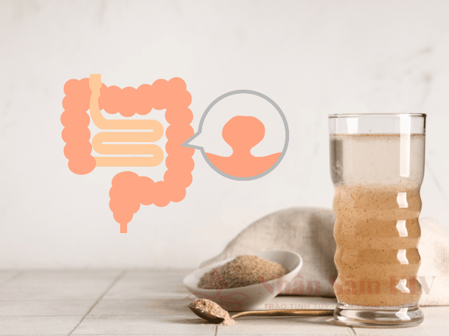 Tại sao việc bổ sung chất xơ hòa tan lại quan trọng hơn các loại rau xanh thông thường? 12 Vỏ hạt mã đề - Nguồn chất xơ hòa tan