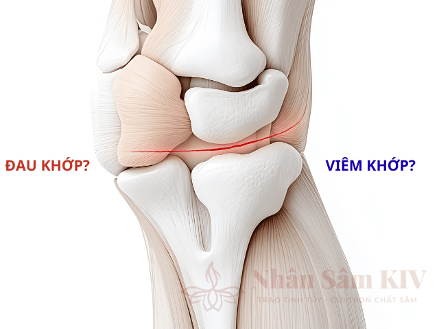 Phân biệt và nhận biết