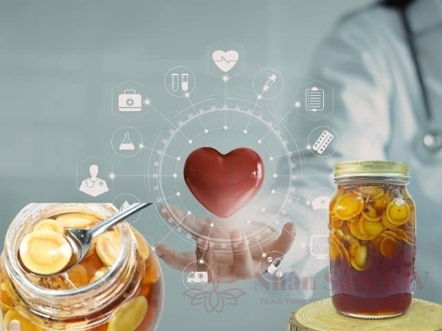 Điều Hòa Hệ Tim Mạch Và Mỡ Máu