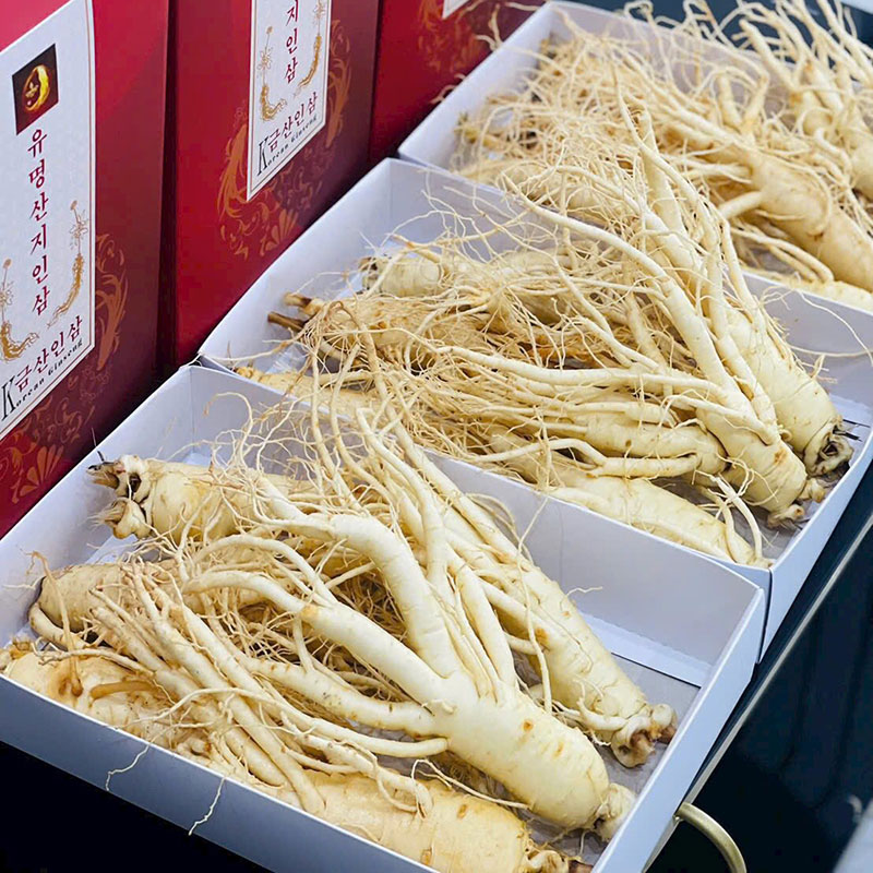 Hồng sâm hàn quốc | Cửa hàng nhân sâm hàn quốc tại tphcm 56 Bảng giá sâm tươi Hàn Quốc bao nhiêu tiền một ký cập nhật mới nhất