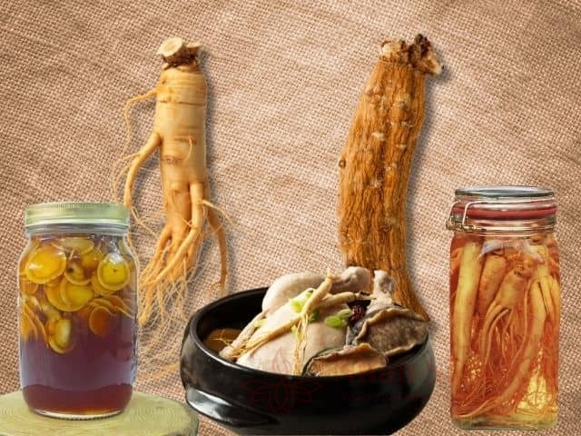 Cách sử dụng sâm tươi và sâm khô Hàn Quốc 22 Các phương pháp chế biến sâm tươi phổ biến