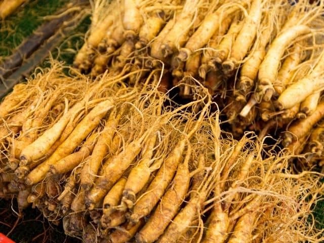 Cách sử dụng sâm tươi và sâm khô Hàn Quốc 21 Cách chế biến sâm tươi