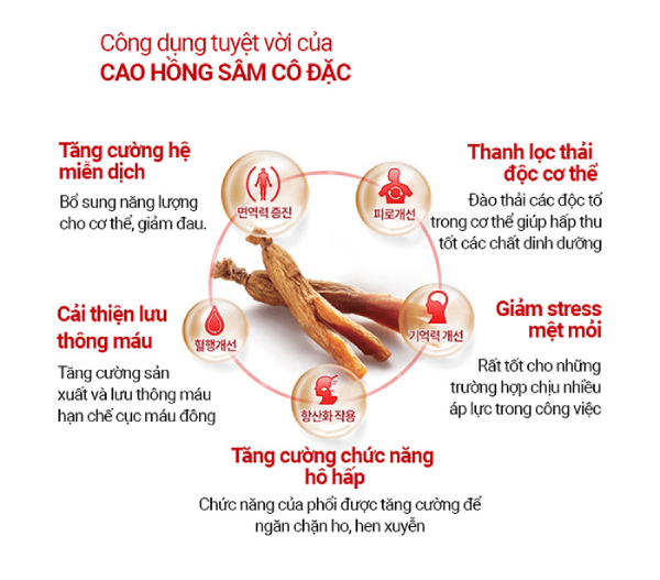 Cao hồng sâm có tác dụng gì đối với sức khỏe Cao hồng sâm có tác dụng gì đối với sức khỏe