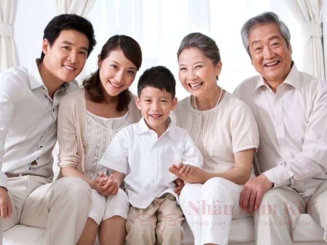 Giải đáp 20+ câu hỏi thường gặp về nhân sâm từ chuyên gia 22 Đối tượng sử dụng sâm