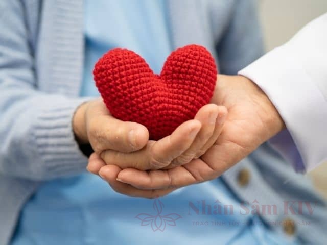 Hỗ trợ hệ tim mạch và huyết học