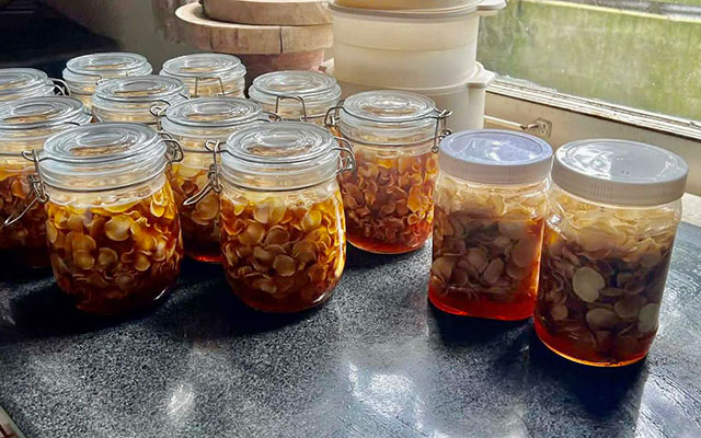 Hướng dẫn làm Sâm tươi Hàn Quốc ngâm mật ong Hướng dẫn làm Sâm tươi Hàn Quốc ngâm mật ong