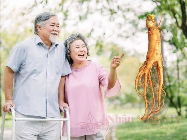 Nhân sâm cho người cao tuổi