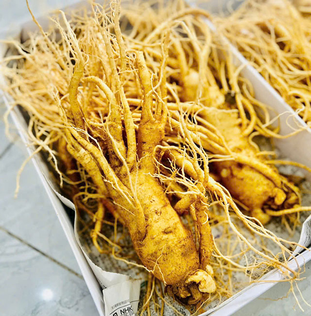 Sâm tươi Hàn Quốc có tác dụng gì đối với sức khỏe? Sâm tươi Hàn Quốc có tác dụng gì đối với sức khỏe?