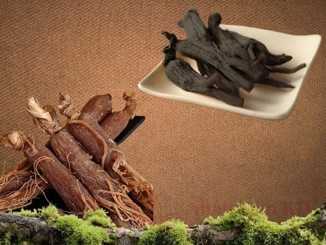 So sánh hắc sâm và hồng sâm Hàn Quốc