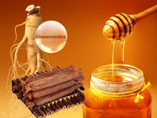 Sự kết hợp giữa Ginsenosides và Enzyme mật ong