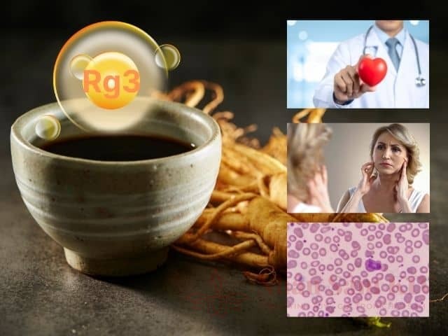 Sâm nước Hàn Quốc loại nào tốt? Hướng dẫn chọn mua từ chuyên gia 18 Tác động hoạt chất Rg3