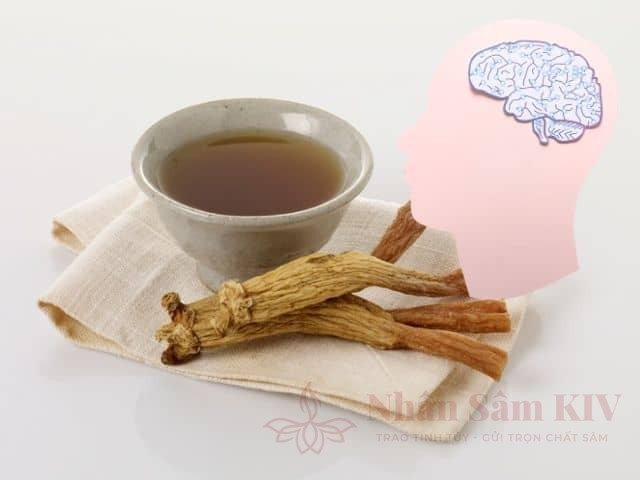 Trà sâm: từ nghi thức cung đình đến liệu pháp "tỉnh thức" cho hệ thần kinh 21 Trà sâm hỗ trợ não bộ như thế nào